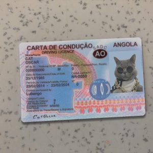 Angola Driver License Template