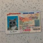 Arizona Driver License Template