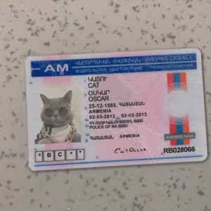 Armenia Driver License Template