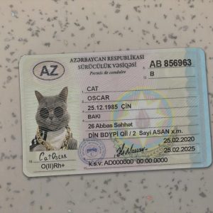 Azerbaijan Driver License Template