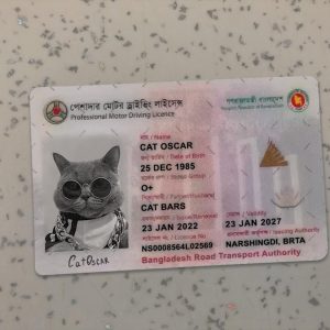 Bangladesh Driver License Template