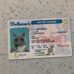 Delaware Driver License Template