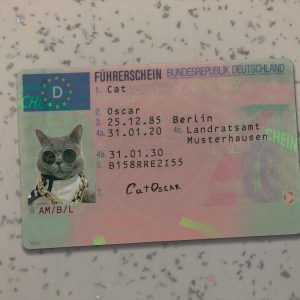 Germany Driver License Template