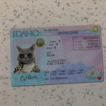 Idaho Driver License Template