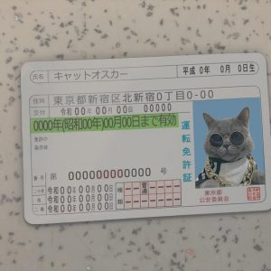 Japan Driver License Template