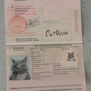 Madagascar Passport Template