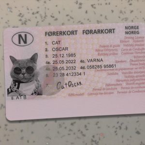 Norway Driver License Template