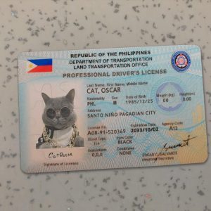 Philippines driver license template