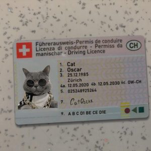 Switzerland Driver License Template