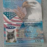 USA Passport Template