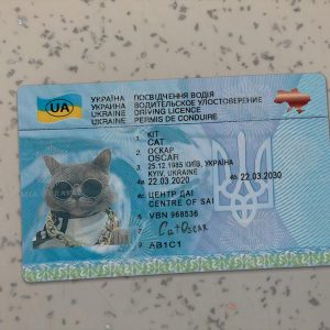 Ukraine Driver License Template
