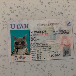 Utah Driver License Template