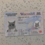 Wisconsin Driver License Template